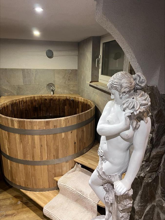 Отель Domacija Paternoster Litija Экстерьер фото